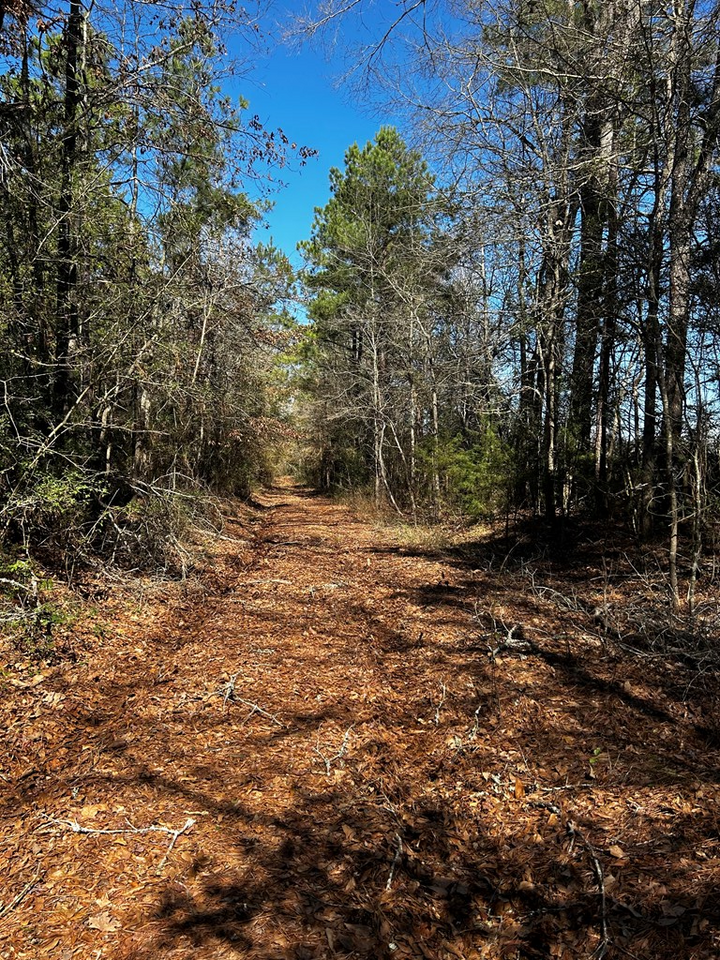 Property Photo:  R14353 Cr 167  TX 75669 