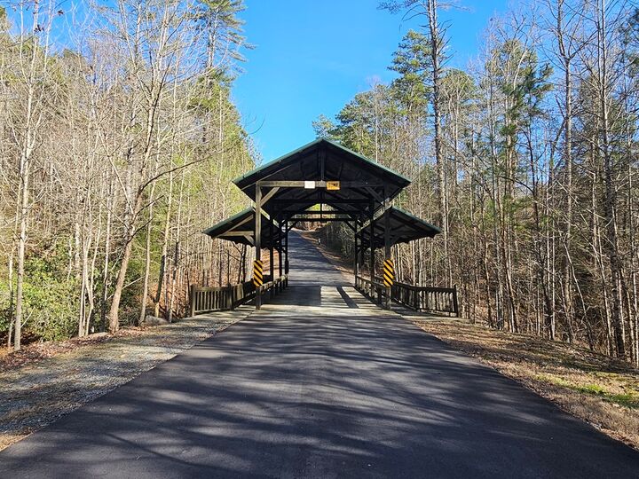 Property Photo:  Lot 77 Roaring Forks Lane  GA 30540 