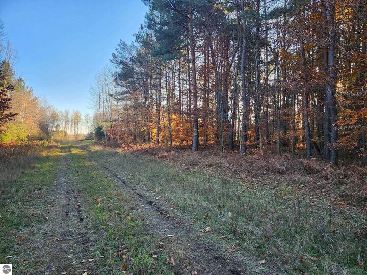 Property Photo:  Vl 9 Mile Road  MI 49645 