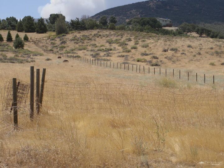 Property Photo:  0 Tamblin Road  CA 93561 