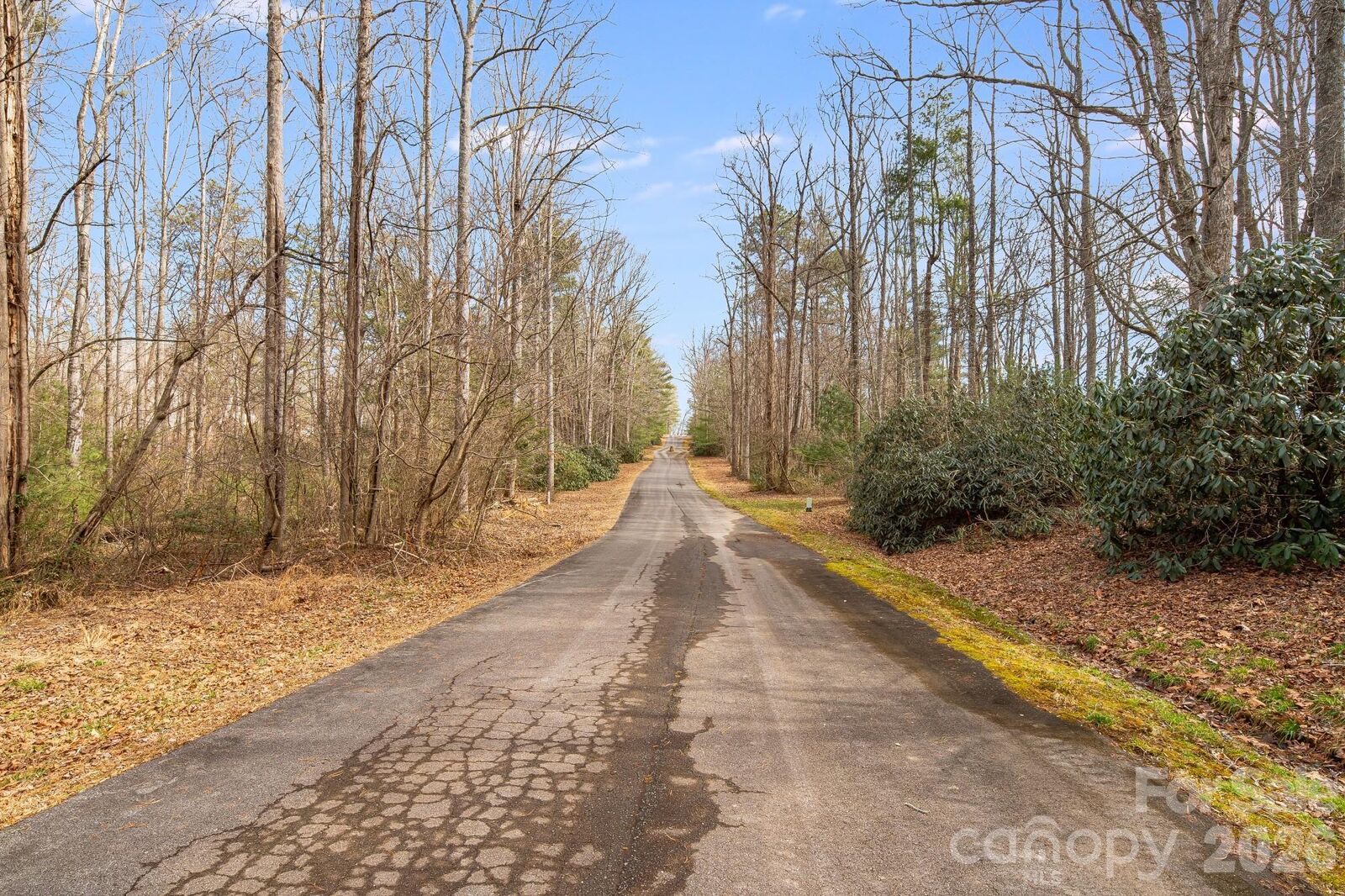 Property Photo:  00 Old Haywood Road  NC 28759 