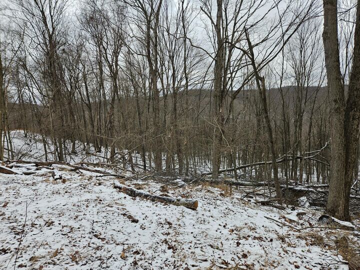 Property Photo: 0 Darwin Rd PA 15728