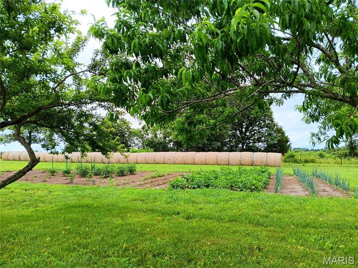 Property Photo:  6991 Ely Road  MO 65667 