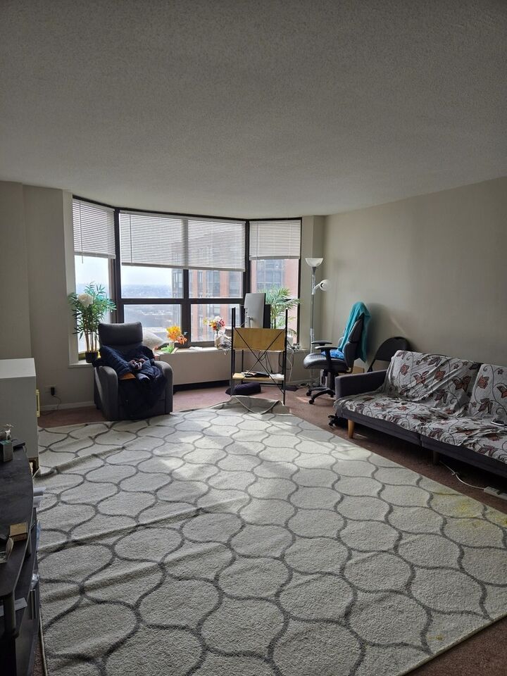 Property Photo: 899 S Plymouth Court 1907 IL 60605