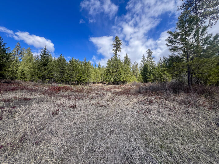 Property Photo: 7xx Old Arden Hwy WA 99114