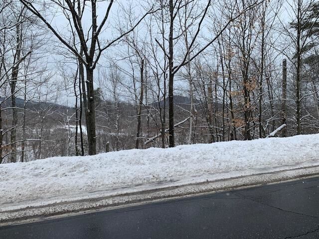 Property Photo:  Lot 4-28 &Amp 4-32 2nd Nh Turnpike  NH 03244 