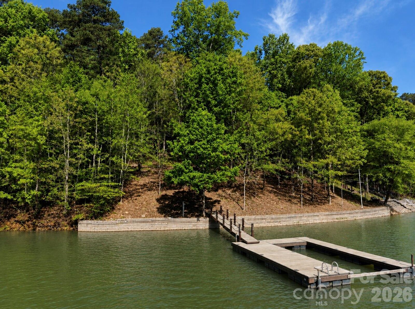 Property Photo:  163 High Lake Drive  NC 28677 