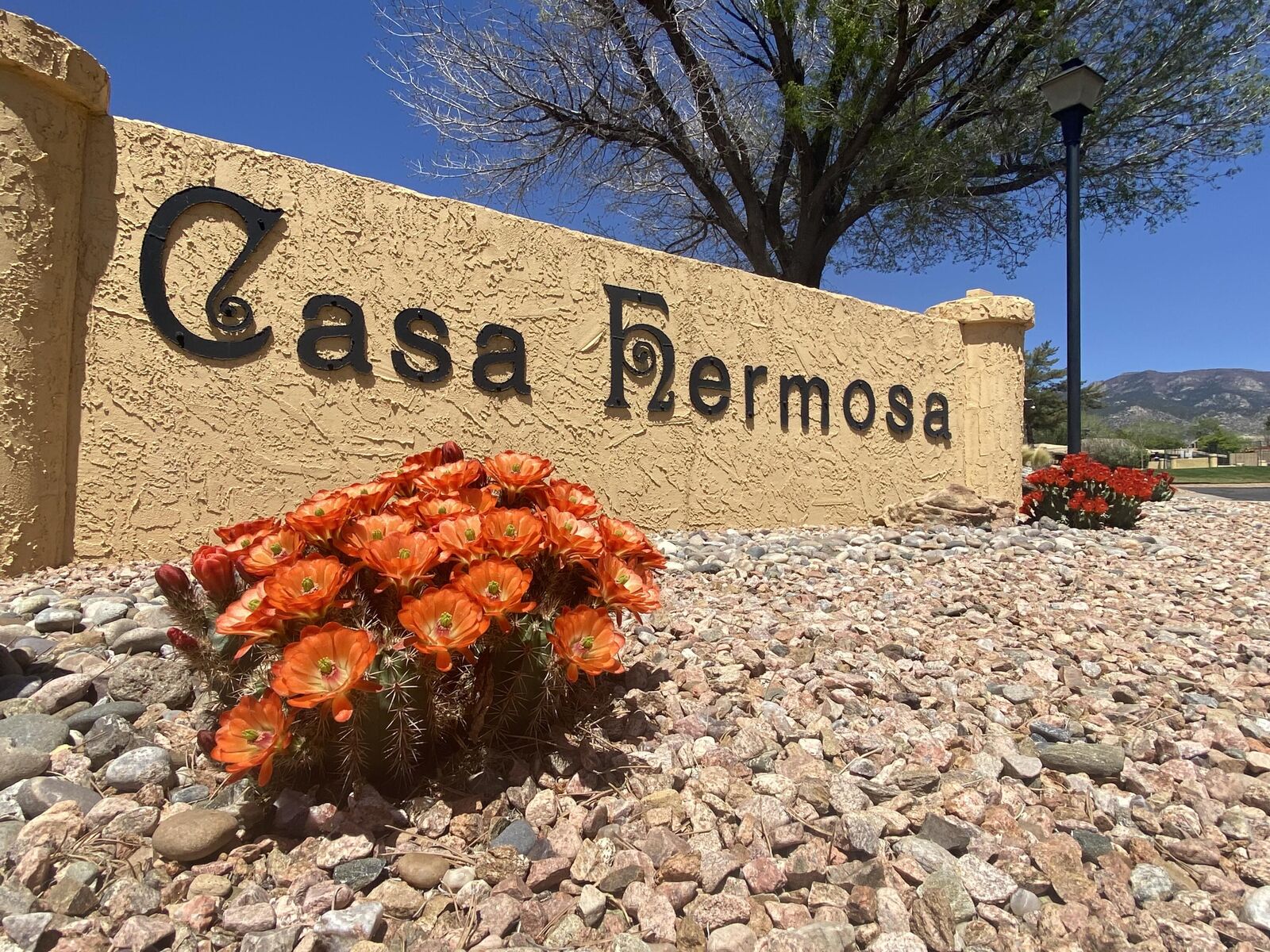 Property Photo:  14 Casa Hermosa Drive NE  NM 87112 