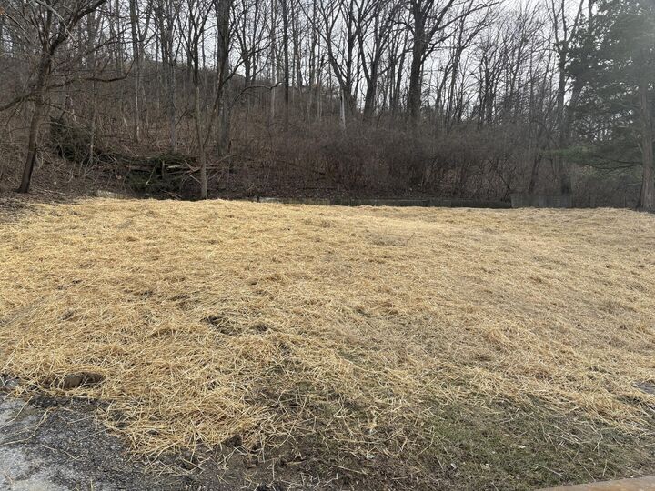 Property Photo:  59 Ohio Avenue  KY 41071 