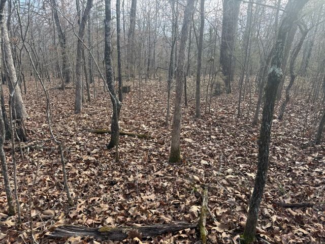 Property Photo:  Tract 2 Mc 8003  AR 72687 