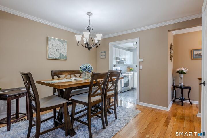 Property Photo: 237 Blueberry Lane 237 CT 06405