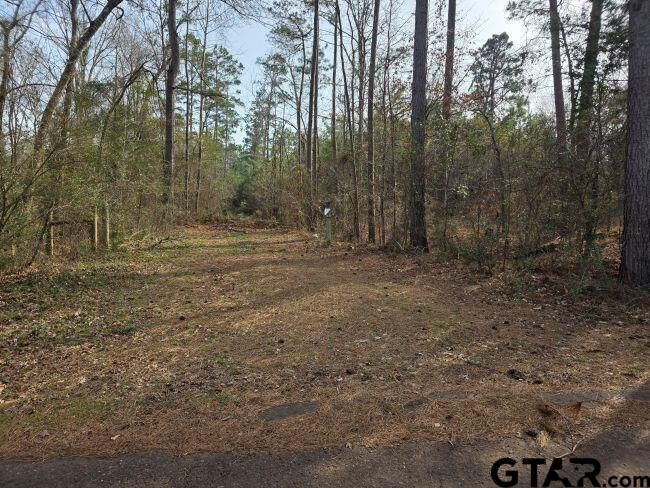 Property Photo:  Tbd 7.85 Ac Cr 3206  TX 75667 