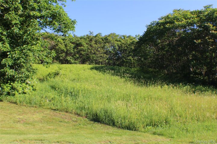 Property Photo:  Lot 2 South Centerville Road  NY 10940 