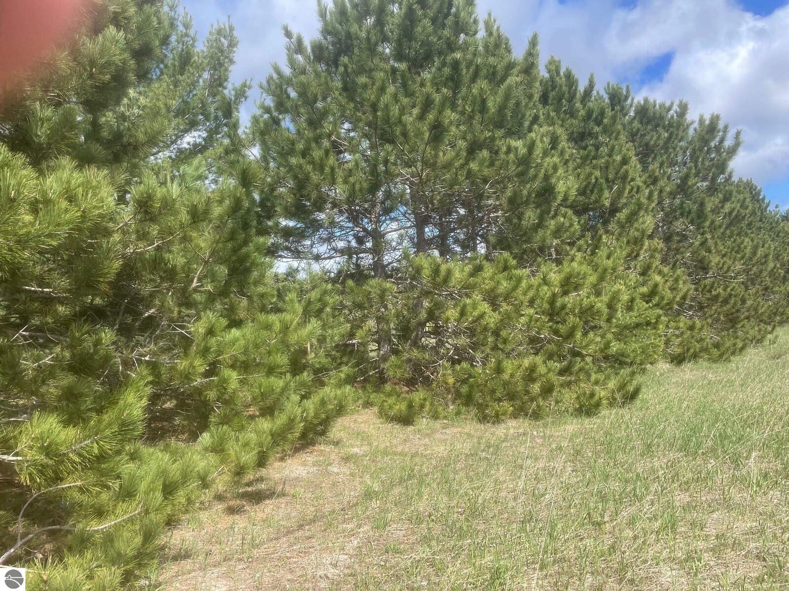 Property Photo:  Honor Highway  MI 49643 