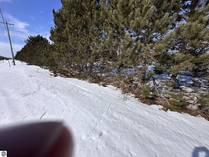 Property Photo:  Honor Highway  MI 49643 