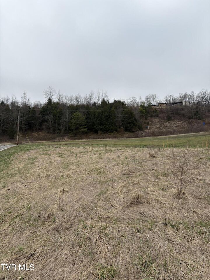 Property Photo: 2 Ac Dulaney TN 37818