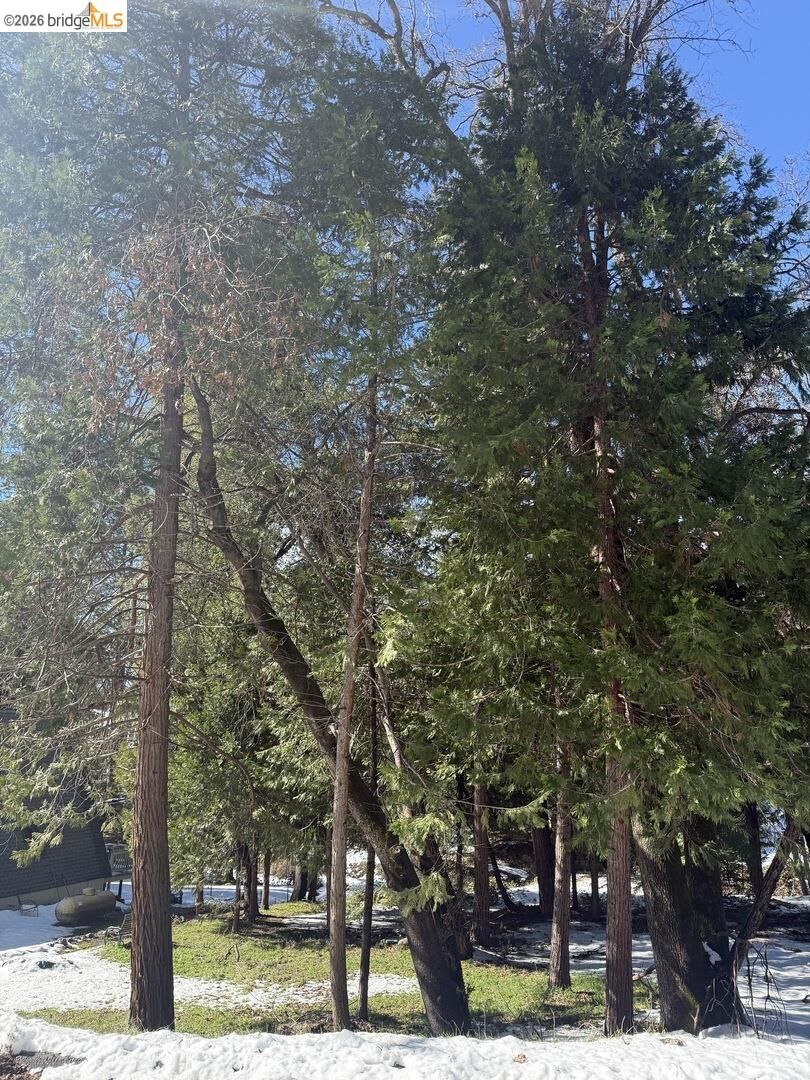 Property Photo:  21730 Wasatch Mountain Rd  CA 95370 