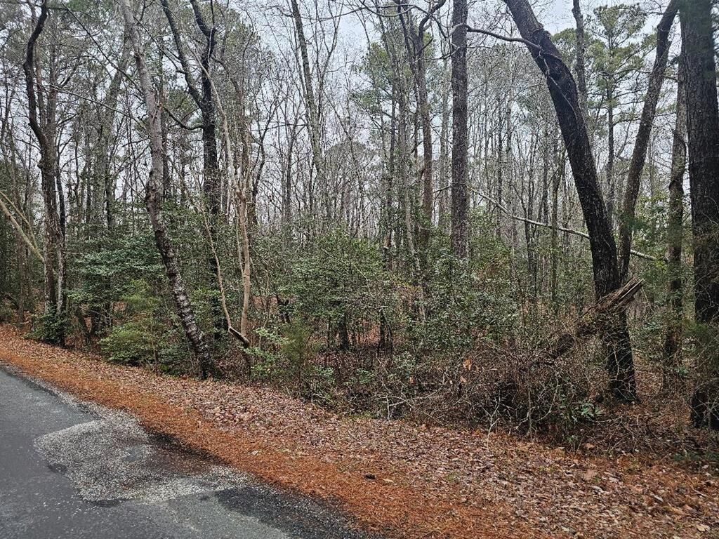 Property Photo:  Lot 25 Jacobus Creek Rd  VA 23405 