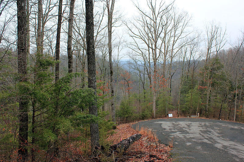 Property Photo:  Lot 76 Sandstone Point  KY 42633 