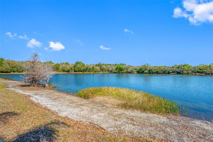 Property Photo:  8713 Imperial Court  FL 33635 