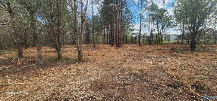 Property Photo:  125 Acuff Road  AL 35748 