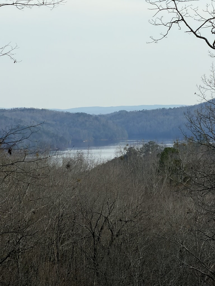 Property Photo:  439 Buck Creek Road  GA 30540 