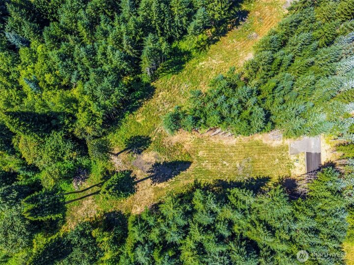 Property Photo: 0 Old Tree Farm Drive 1 WA 98632