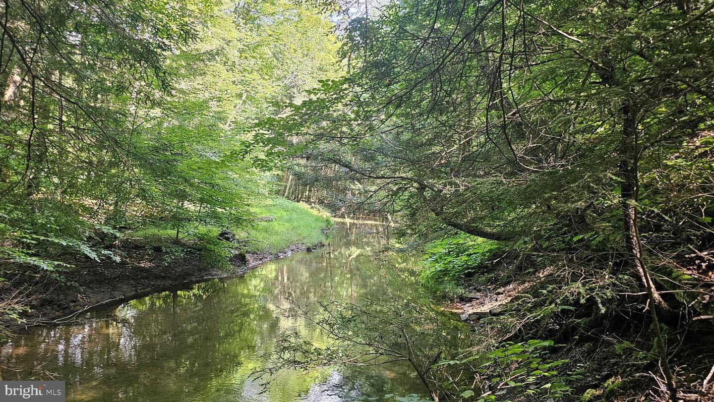 Property Photo:  161.22 Acres Mahaffey Grampian Highway  PA 15757 