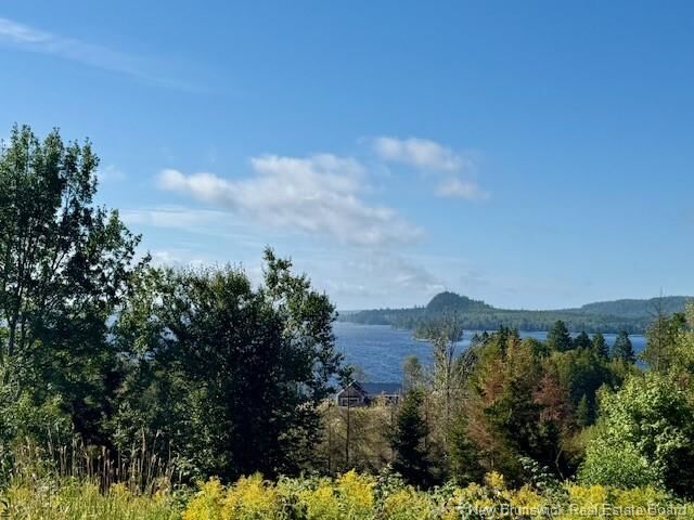 1191 137 Route 785 — photo 1