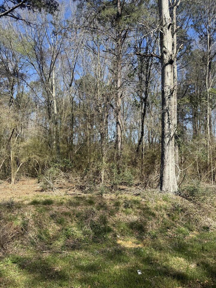 Property Photo:  4.9 Acr Morgantown Rd.  MS 39483 