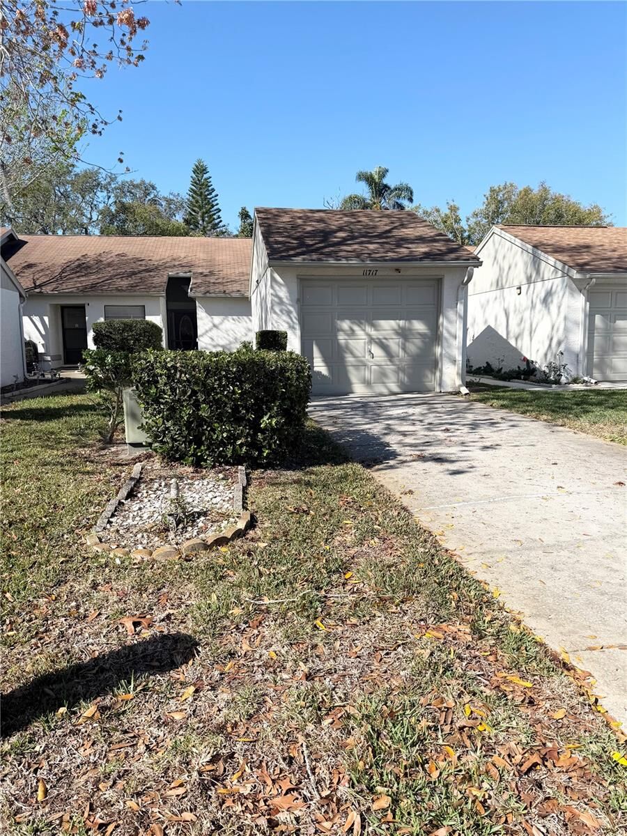 Property Photo:  11717 Spring Tree Lane  FL 34668 