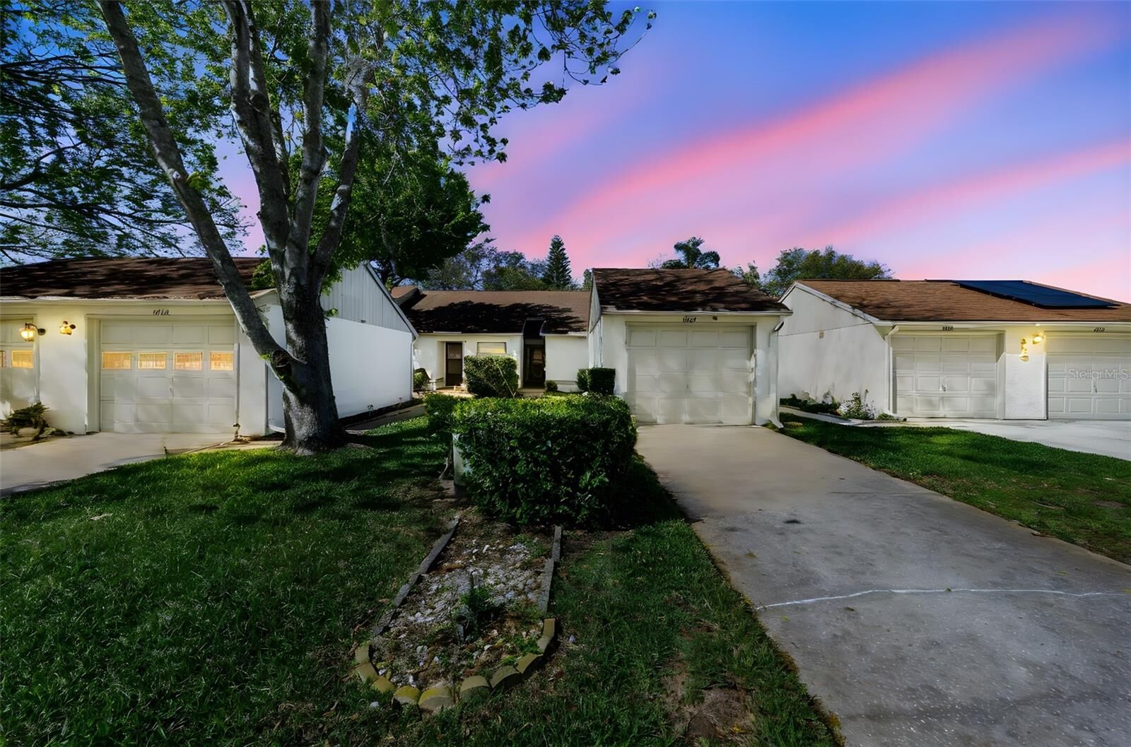 Property Photo: 11717 Spring Tree Lane FL 34668