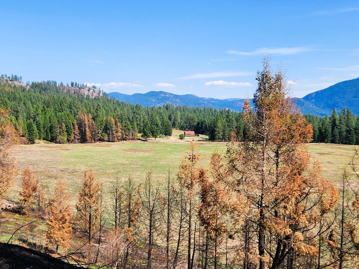 Property Photo: 34xx Northport Flat Creek Rd WA 99141