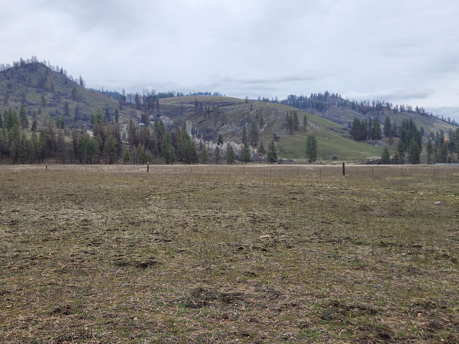 Property Photo:  34xx Northport Flat Creek Rd  WA 99141 