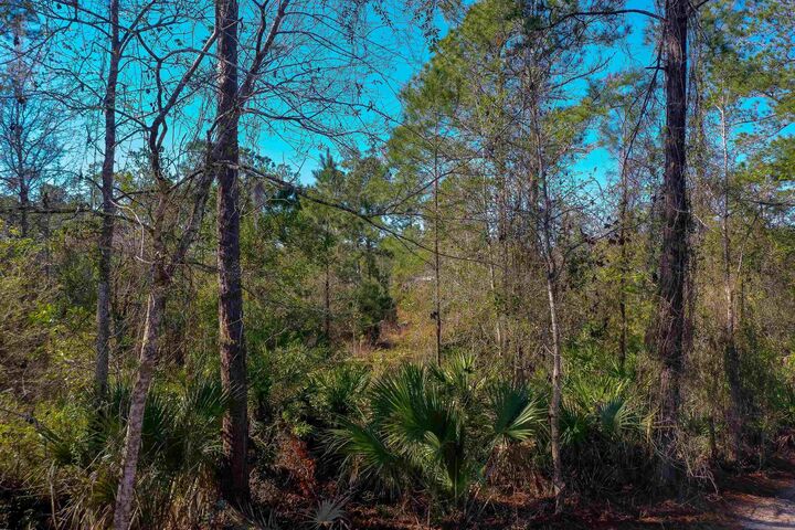 Property Photo: 33150 Forest Ridge Rd FL 32720