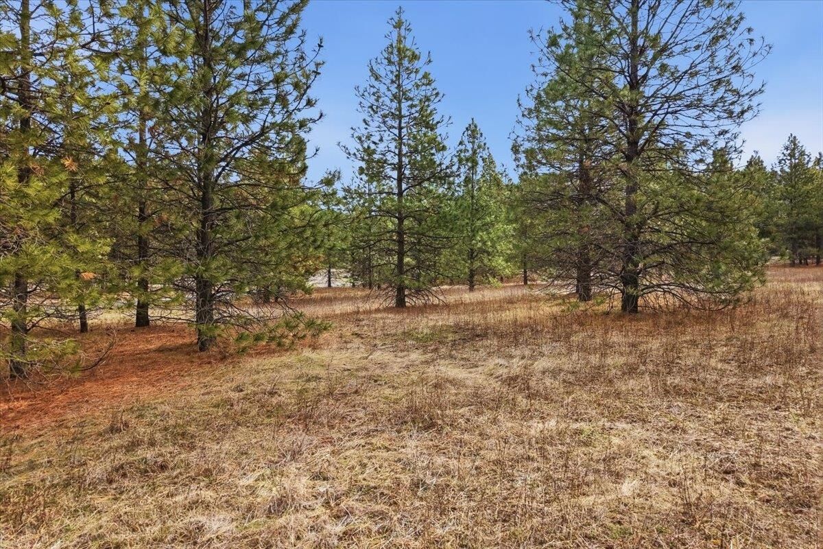 Property Photo:  65xx Whispering Pines Way Lot #3  WA 99026 