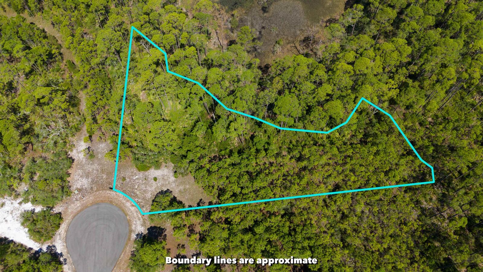 Property Photo:  Lot 24 Leap Frog Lane -  FL 32346 