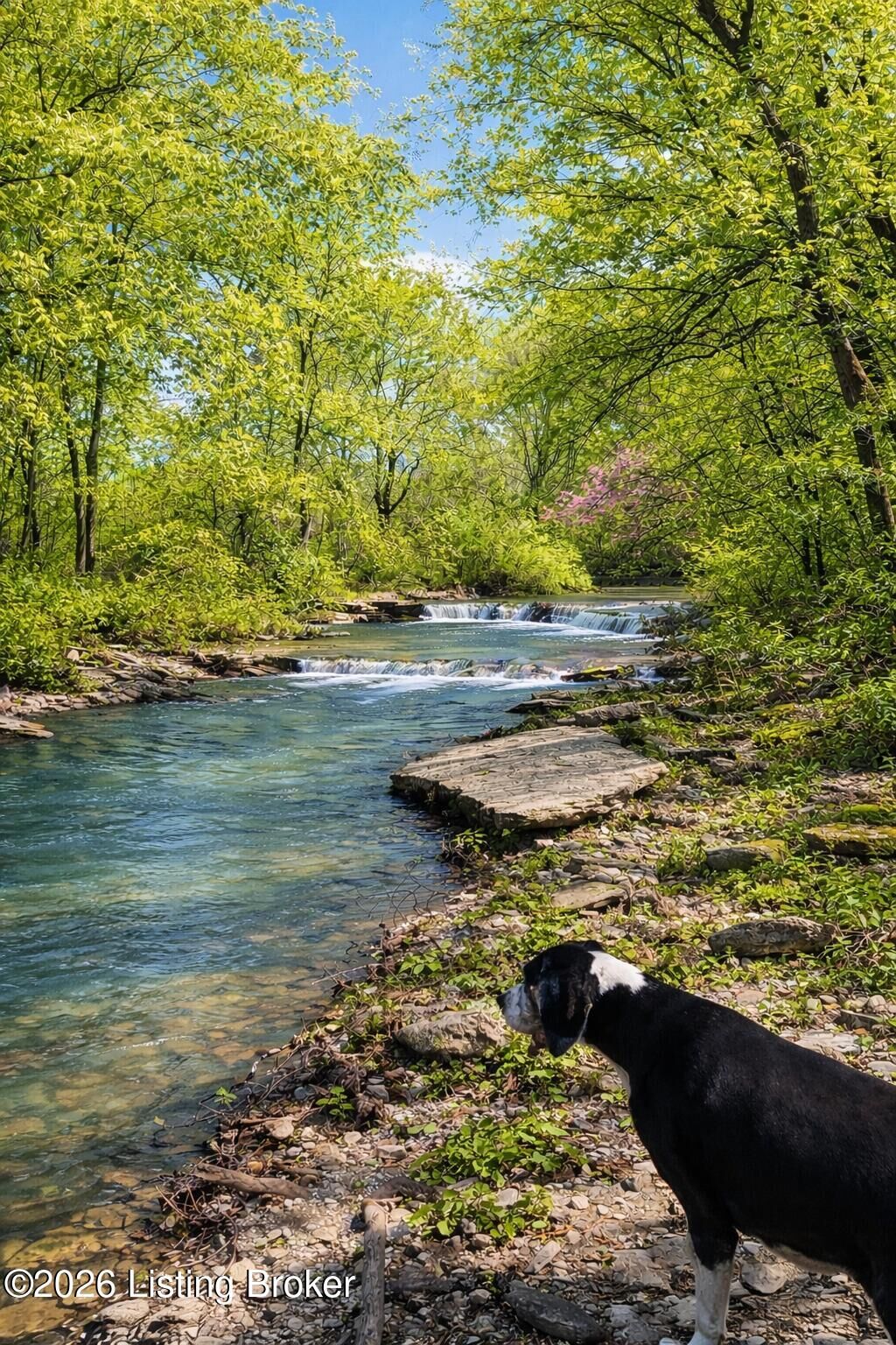 Property Photo:  2325 Pattons Creek Rd  KY 40055 