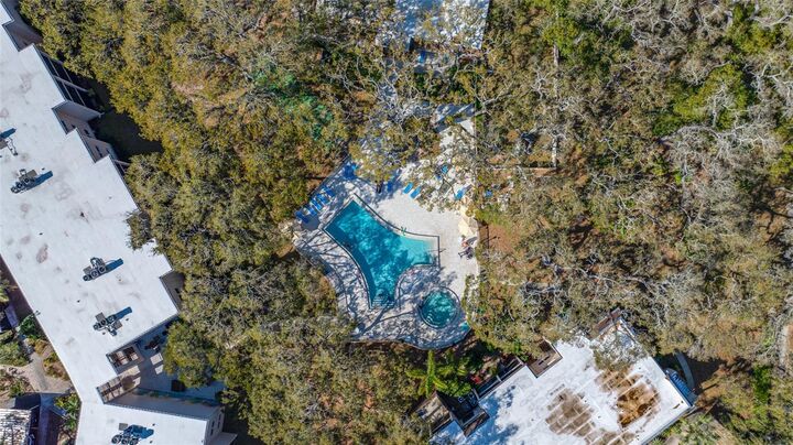 Property Photo:  820 Virginia Street 206  FL 34698 