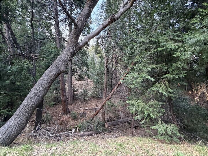 Property Photo:  0 Hook Creek  CA 92321 