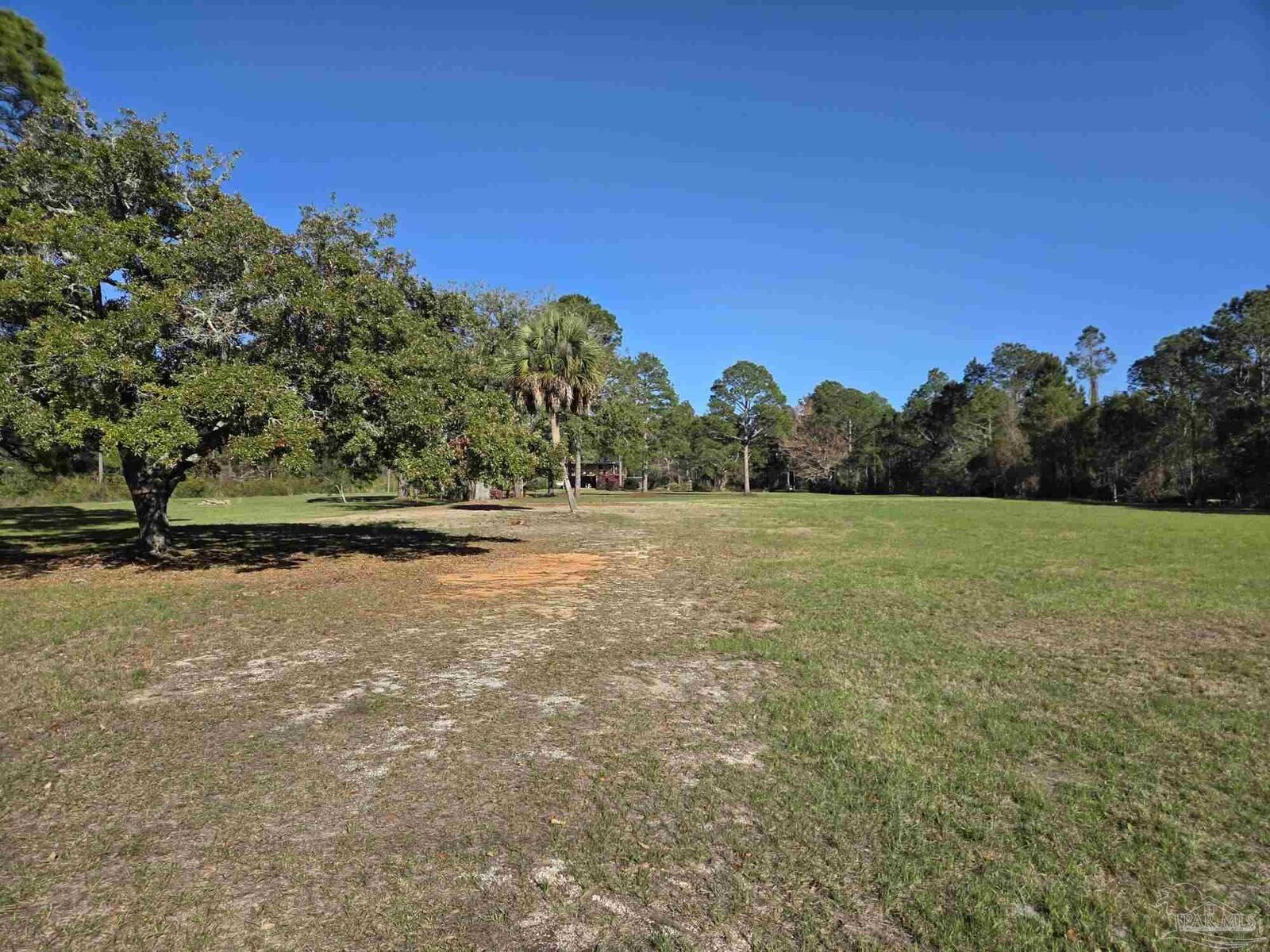 Property Photo:  1164 Pearson Rd Lot 1  FL 32583 