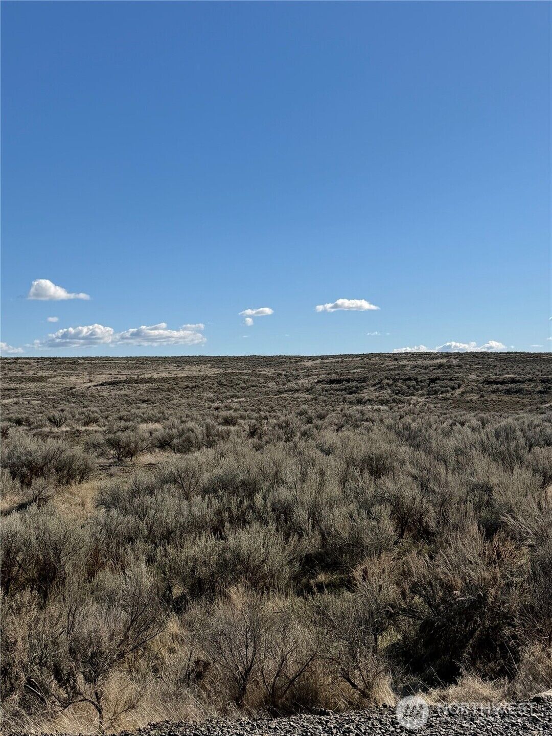 Property Photo:  0 Lot 225  Eagle Springs Ranch  WA 98860 