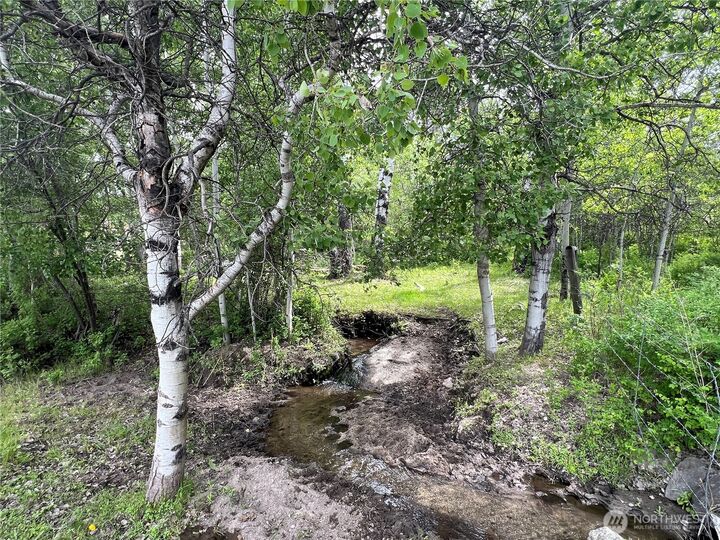 Property Photo: 0 Wild Rose Lane WA 98855