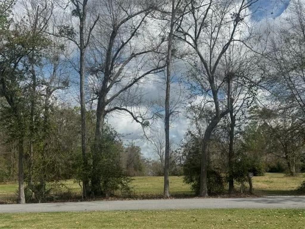 Property Photo:  Panhandle Road  LA 70633 