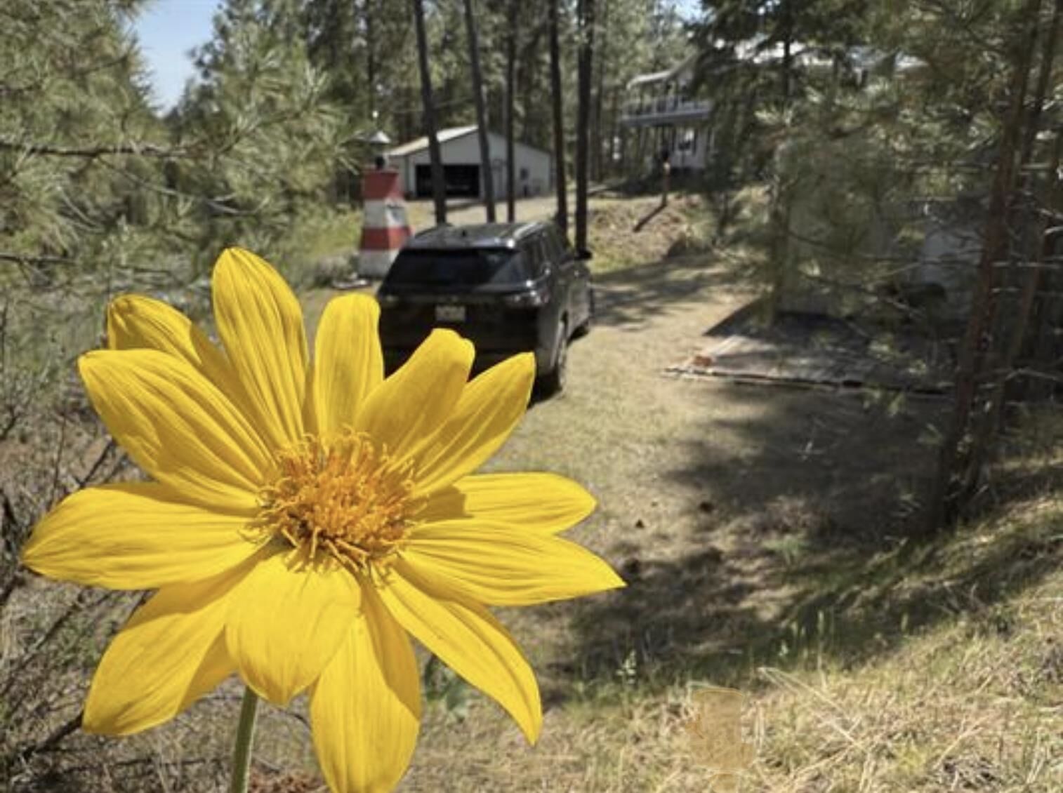 Property Photo: 42078 N Porcupine Bay Rd WA 99122