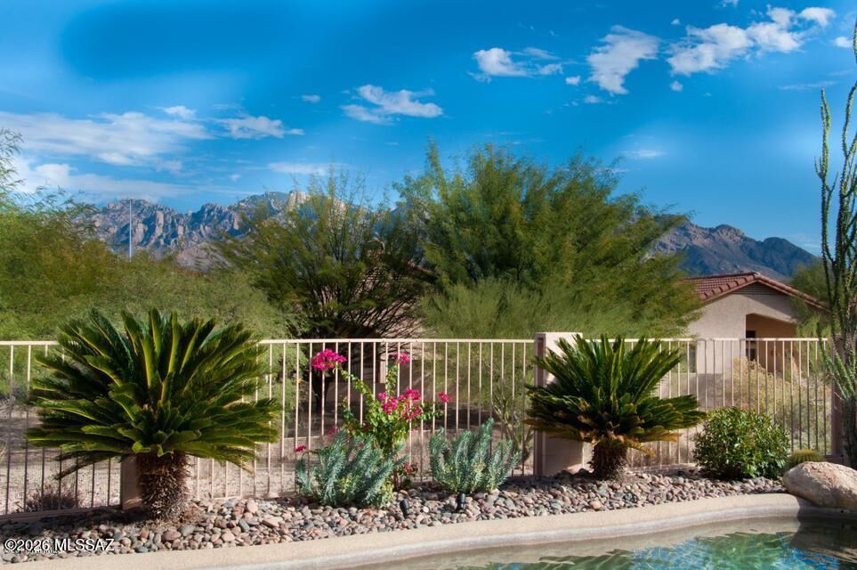 Property Photo:  11122 N Desert Flower Drive  AZ 85737 