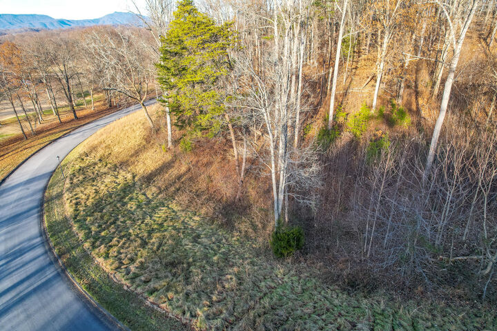 Property Photo: 865 Chimney Top Lane TN 37641