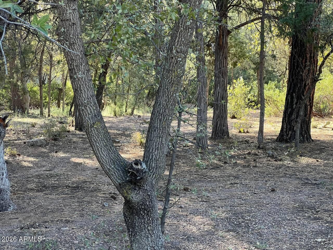 Property Photo:  821 W Eagle Ridge Circle -  AZ 85541 