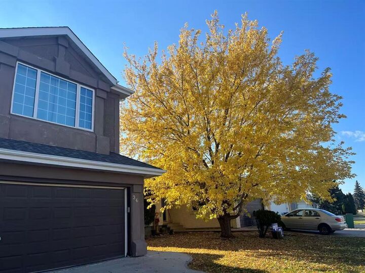 Photo de la propriété:  36 Forestgate Avenue  MB R3P 2L2 