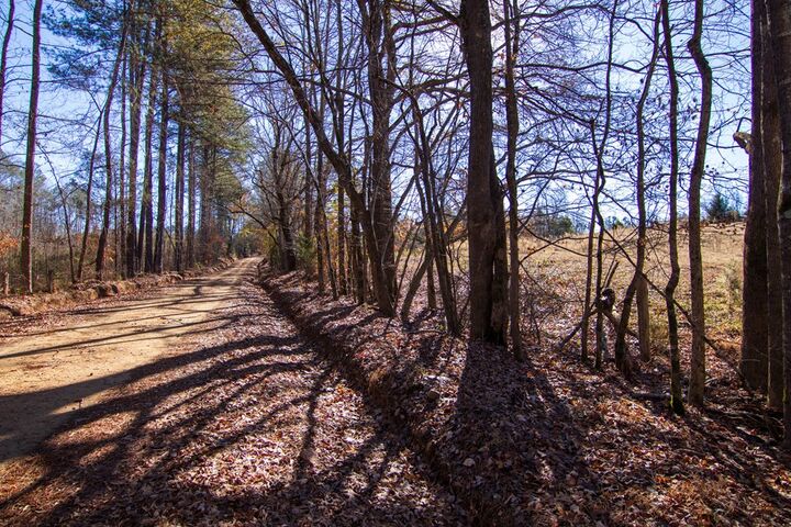 Property Photo:  Tract 2 - 0 St. Paul Church Road  GA 31826 